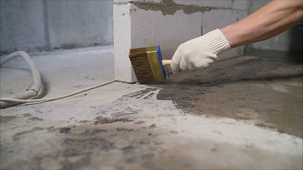 SJ Waterproofing Pros Waterproofing coverage map for Stockton, IL and surrounding area